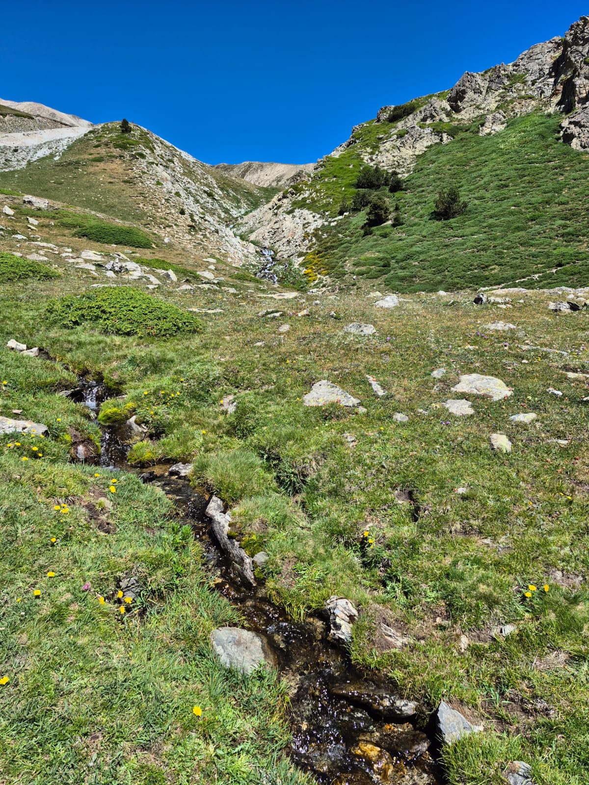 Excursión a Vallter 2000